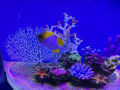 -上海海昌海洋公园