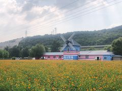 -大连铭湖国际观光牧场