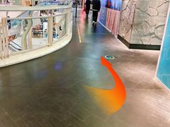 -SFC动漫主题影院(美罗城店)