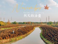 -花开海上生态园