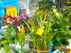 -哈尔滨道外花鸟鱼市场