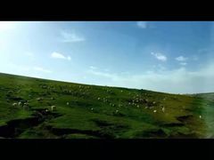 -青海湖国家重点风景名胜区