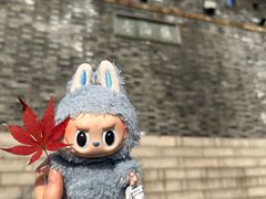 -虞山城墙