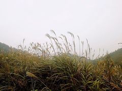 -影珠山