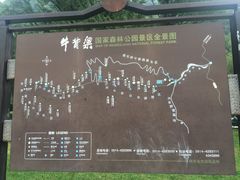 -牛背梁国家森林公园