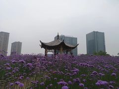 -杭州城北体育公园