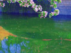 -海棠花溪(元大都城垣遗址公园)