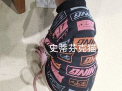 -藏猫猫咖啡主题馆(中央大道店)