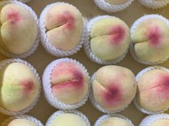 -老袁家蜜桃农场·阳山水蜜桃