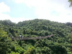 android_upload_pic-三亚亚龙湾人间天堂鸟巢度假村