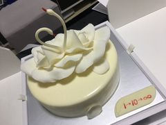 -BLACKSWAN黑天鹅(环球店)