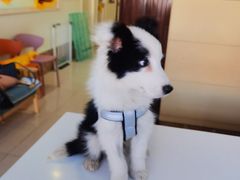 -美联众合24小时·皮肤科·外科·全科诊疗中心(华苑分院)