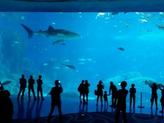 -广东省拱北口岸中国旅行社(华宾营业部)