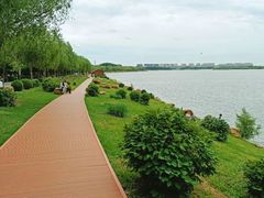 -丁香湖公园
