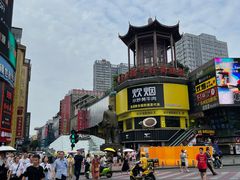 -黑色经典臭豆腐·湖南特产(坡子街店)