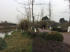 -白鹭湾湿地公园