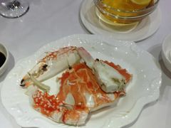 -金燕岛潮州酒楼