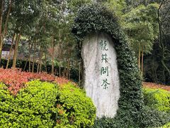 -十八棵（老龙井）御茶园(老龙井店)