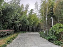 -求雨山文化公园