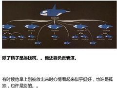 -泉城欧乐堡海洋极地世界