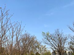 -南翔镇银翔湖公园
