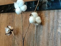 -木卡买提新疆餐厅·清真(新里海顿公馆店)