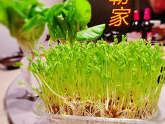 -罗勒家·养生火锅· Bistro(大望路店)
