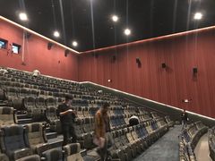 -深影国际影城(学院南路店CGS中国巨幕店)