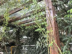-古韵餐厅(湖畔大学店)