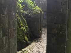 -莫干山风景区