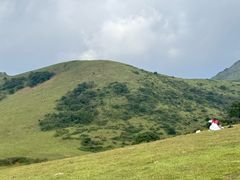 -大姆山草场