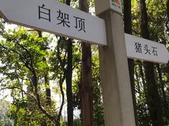 -火炉山森林公园