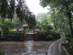 -上海市保健医疗中心(华东疗养院)
