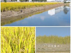 -芦恒路站-停车场