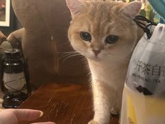 -咖法森林·咖啡  酒吧(天河店)