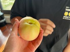 -南汇新场正宗水蜜桃采摘