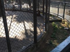 -揭东万竹园旅游景区