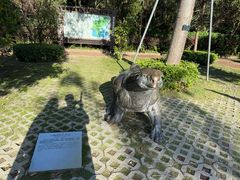 -广东惠东海龟国家级自然保护区