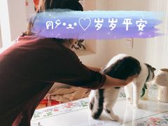 -哈尔信食品超市(哈尔滨王府井购物中心店)