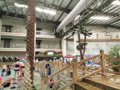 -南宫温泉水世界