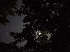 -龟与熊猫宠物公园(南坪店)