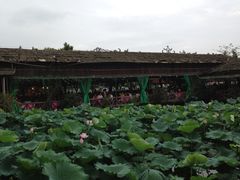 iphone_upload_pic-荷香居(洞企石路店)