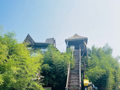 -呀路古热带植物园