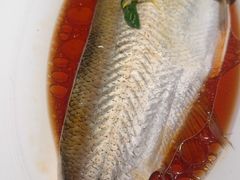 -醉庐·新上海菜(南京西路店)