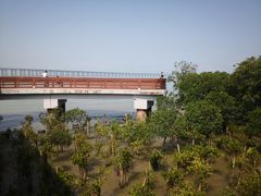 -宝安西湾红树林湿地公园