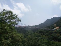 -木兰云雾山