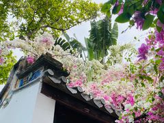 -深圳国际园林花卉博览园