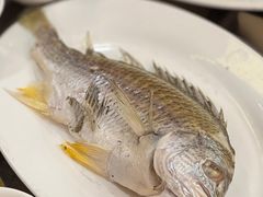 -吴记富苑(朝阳店)