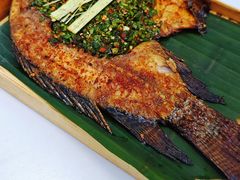 -遇见阿家村云南菜(魏公村店)