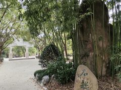 -南汇桃花村
